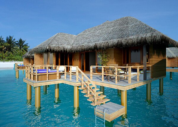 CINNAMON ISLAND ALIDHOO