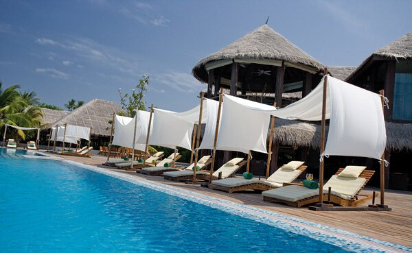 COCO PALM BODU HITHI