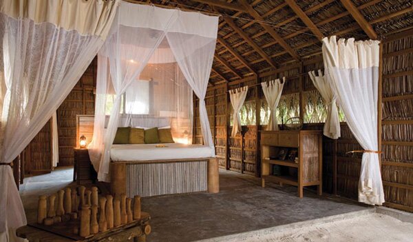 COCO PALM BODU HITHI